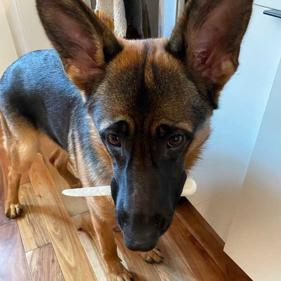 Meet your Posher, Linda - Picture 1 of 16